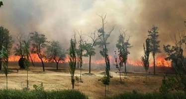 Interpelación Alcalde-Presidente para conocer motivos, la extensión, las sanciones y la actuación prevista en relación con el incendio acaecido el pasado 28 de junio en el Parque Lineal de Butarque