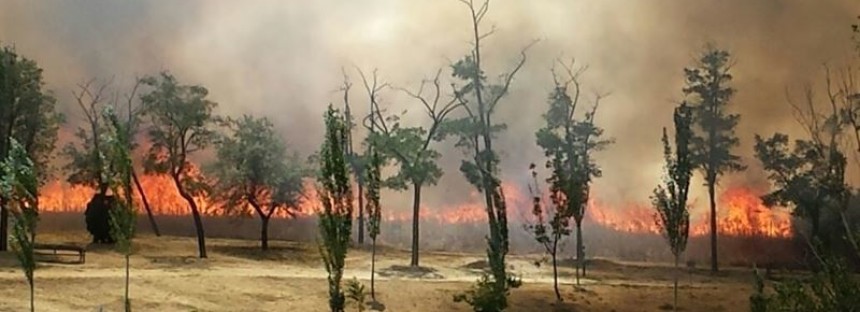 Interpelación Alcalde-Presidente para conocer motivos, la extensión, las sanciones y la actuación prevista en relación con el incendio acaecido el pasado 28 de junio en el Parque Lineal de Butarque