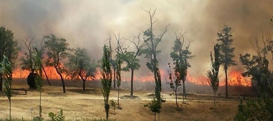 Interpelación Alcalde-Presidente para conocer motivos, la extensión, las sanciones y la actuación prevista en relación con el incendio acaecido el pasado 28 de junio en el Parque Lineal de Butarque