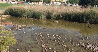 El Partido Popular exige la limpieza del Estanque de los Patos de Vereda de los Estudiantes