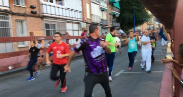 El PP pide garantizar la celebración de festejos taurinos en Leganés durante toda la legislatura