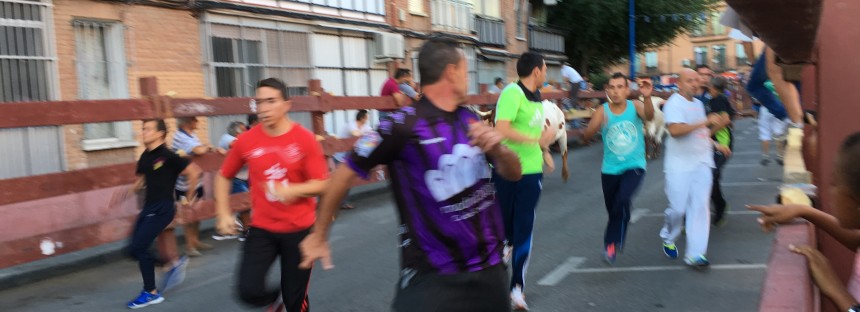 El PP pide garantizar la celebración de festejos taurinos en Leganés durante toda la legislatura