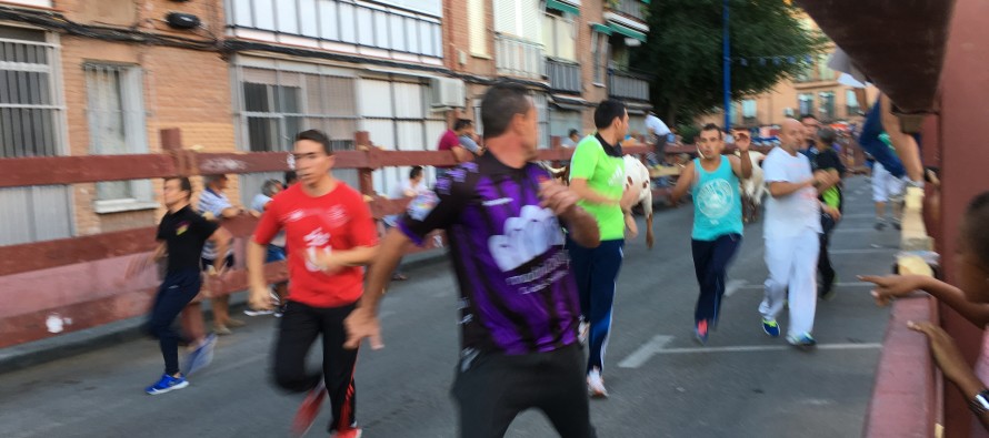 El PP pide garantizar la celebración de festejos taurinos en Leganés durante toda la legislatura