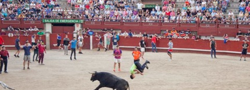 Llorente y Fran Muñoz tendrán que dar explicaciones en el pleno por suprimir los toros en las fiestas