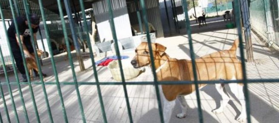 El PP de Leganés pedirá la construcción de un nuevo Centro de Protección Animal y que  se evalúe a la actual empresa adjudicataria